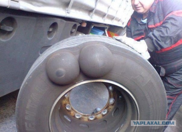 Симпатичная самка вертолета желает познакомится