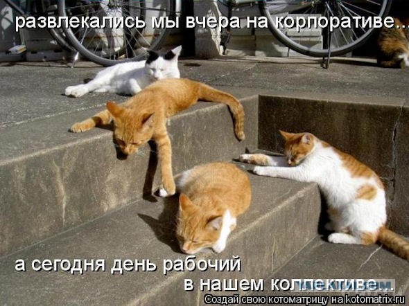 Плюсомет со шпалометом