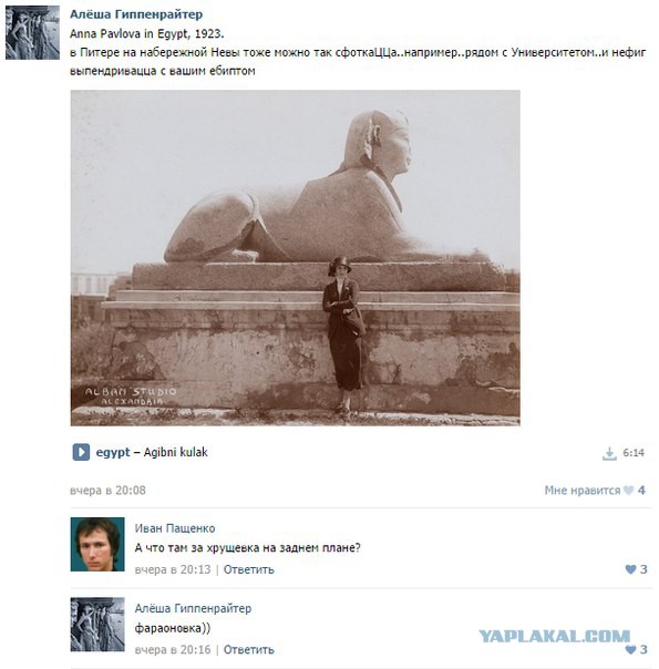 Смешные комменты из соцсетей