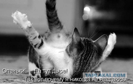 Смешные картинки