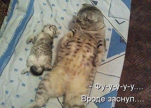 Подборка про спать