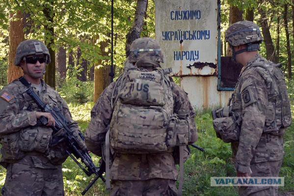 Политическая солянка #3