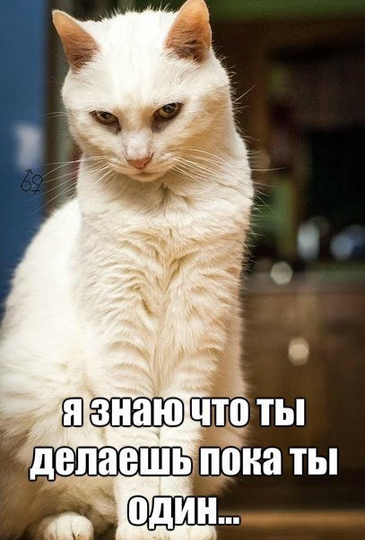 Подборка прикольных фото на пятницу