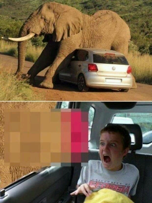 Абсурдный юмор ч.7