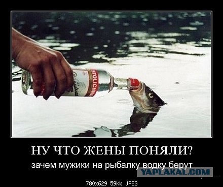 Демотиваторы на пятницу!