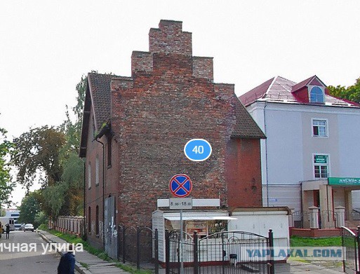 Крякнет ли серый гусь?