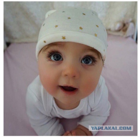 Подборка интересных и веселых фото