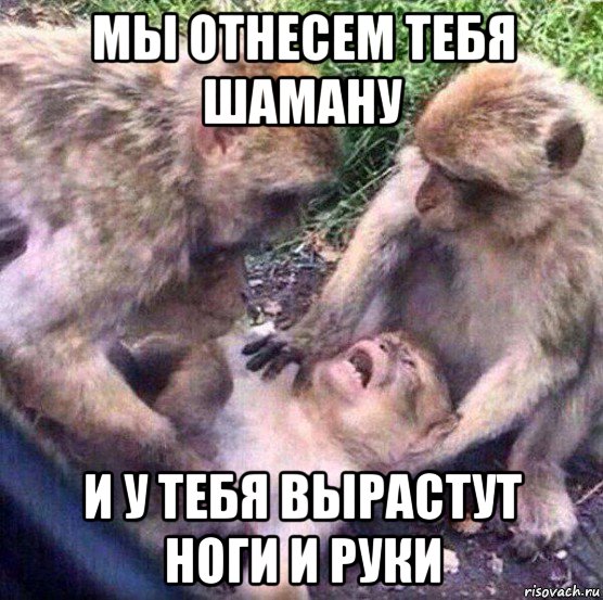 Трое братьев погибли при изнасиловании крокодила.