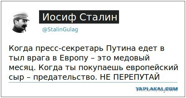 Политические комментарии и картинки из соцсетей