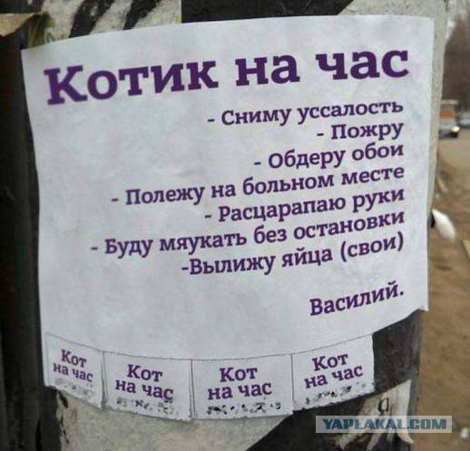 Подборка интересных и веселых картинок