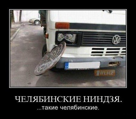 Подборка безудержного веселья