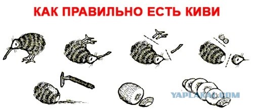Кошкаворон