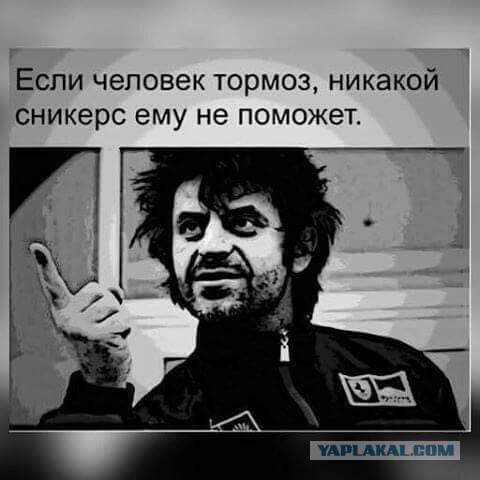 Анекдоты, соц-сети и картинки с надписями