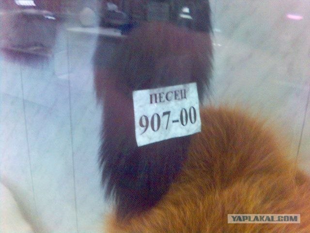 Всегда внимательно смотрите на ценник