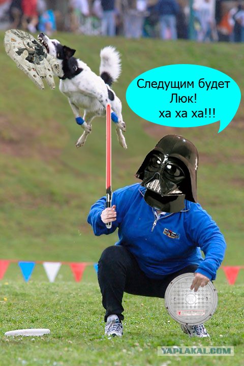 Фотожаба: летающая собака