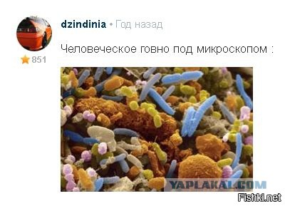 Фельдшер сорвалась на врачей, которые не хотели принимать 90-летнюю больную коронавирусом