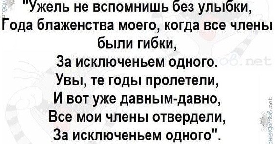 Фотки и картинки: юморные и красивые, забавные и милые 25.03.21