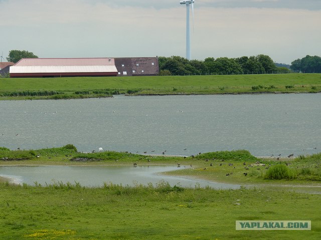 Побережье Северного моря.