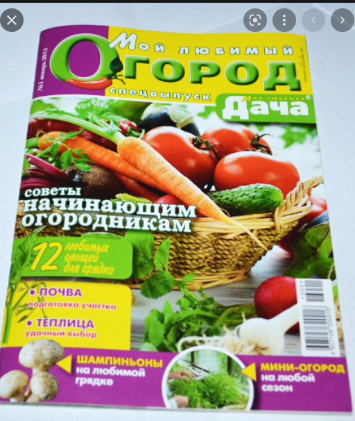 Как бабы-казлы всё портят