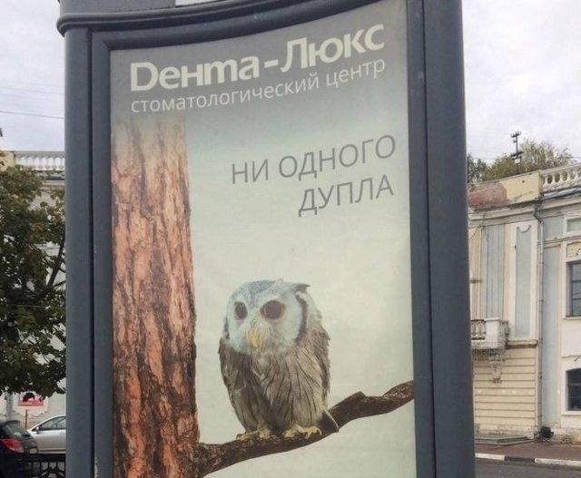 Забавные надписи и объявления из Сети 01.07.22