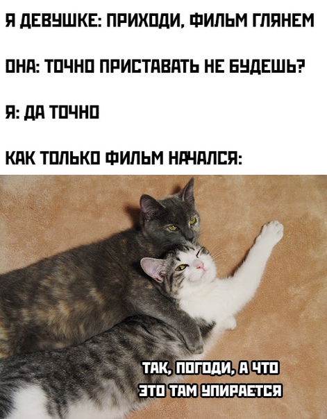 Картинки и мемы для настроения - 23