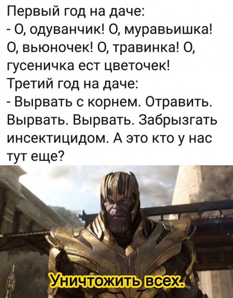 Пятница. Вечер. Картинки всякие #15