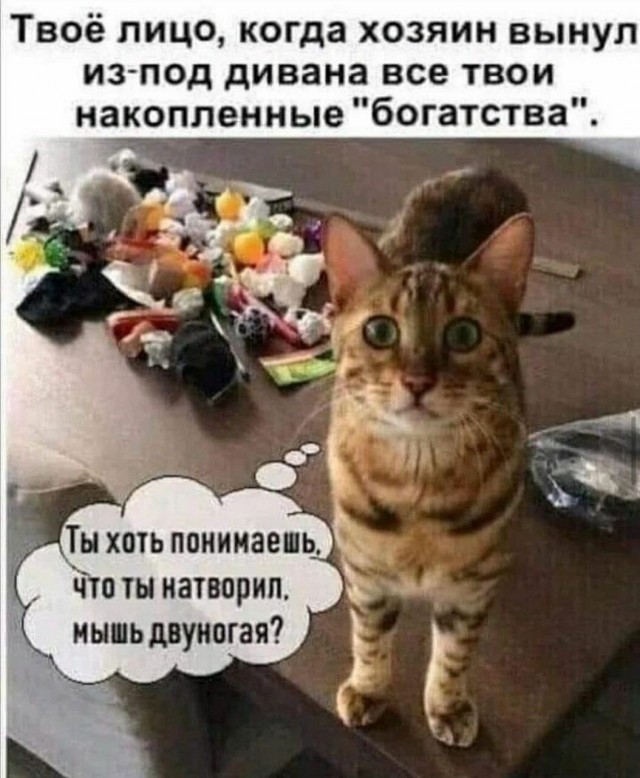 Картинки и мемы для настроения - 119