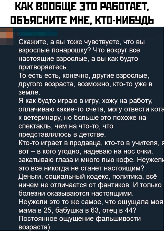 Весёлый полтишок 17.01.23