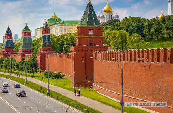 Сплошной глухой забор на даче. Как он повысил мое качество жизни!