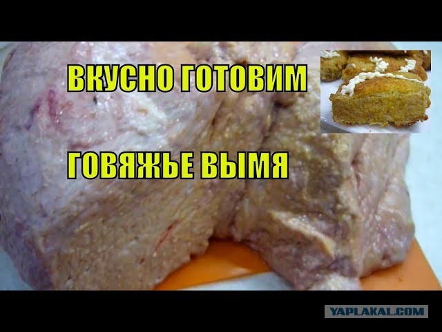 Настя из Душанбе. Хорошо готовит, хочет познакомиться