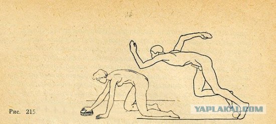 Жить по инструкции