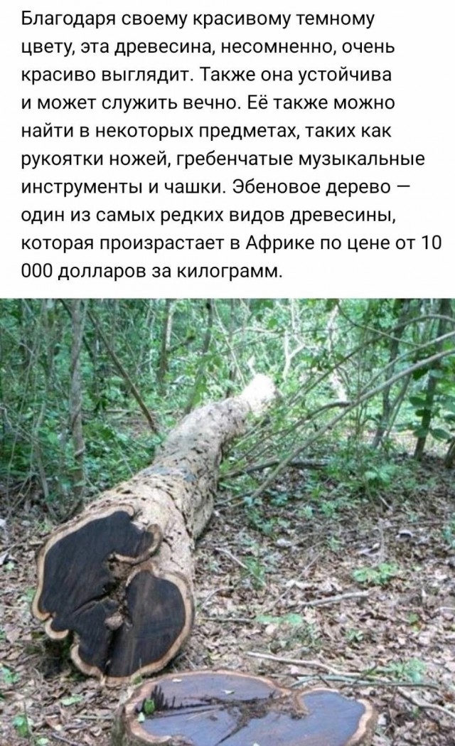 Куча мала 15, последняя