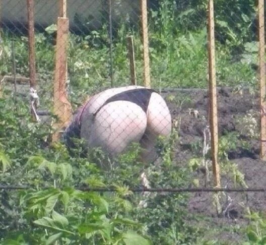 Огородная нимфа