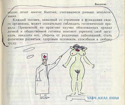 Разрисованные учебники (150 рисунков)