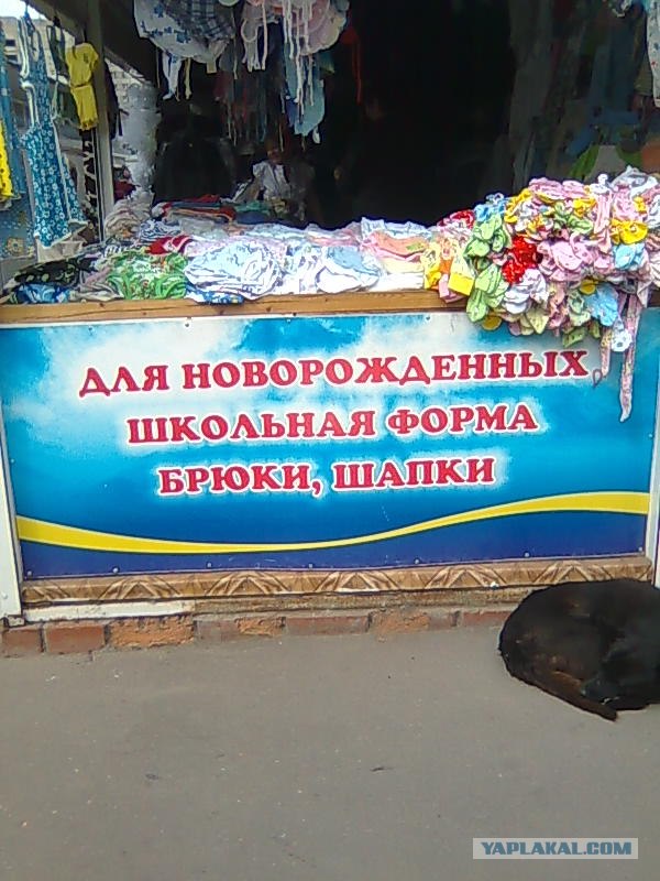 Фото с Nokia 6288