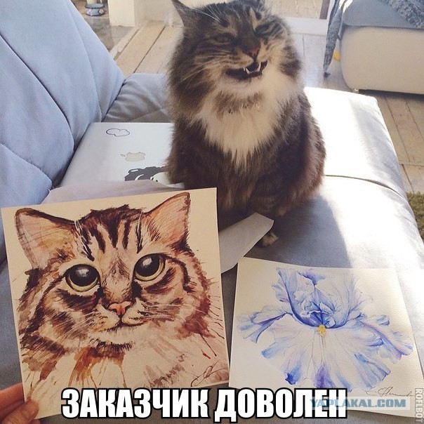 Весёлости, попавшиеся на глаза сегодня