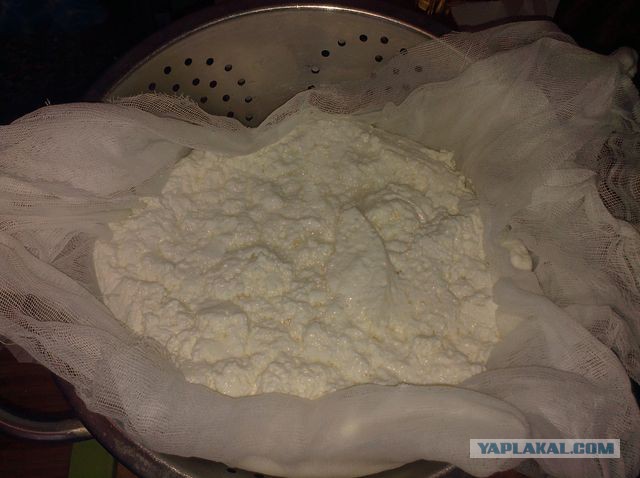 Как зарукожопить домашний сыр