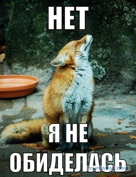 Когда жена обиделась и молчит