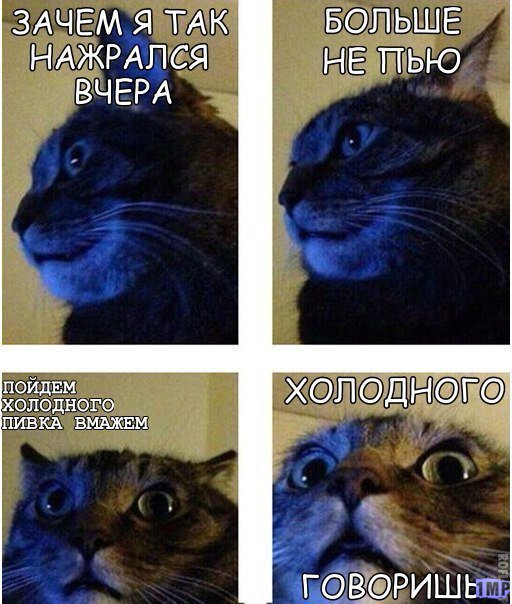 Картинки из интернетов