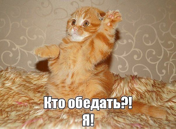 Картинки из сети, подборка