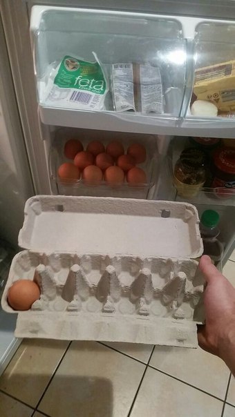 Забавные картинки из Сети