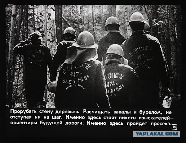 Посрался с женой из-за пустяка.