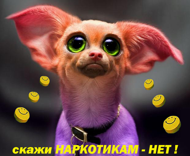 скажи нет наркотикам !