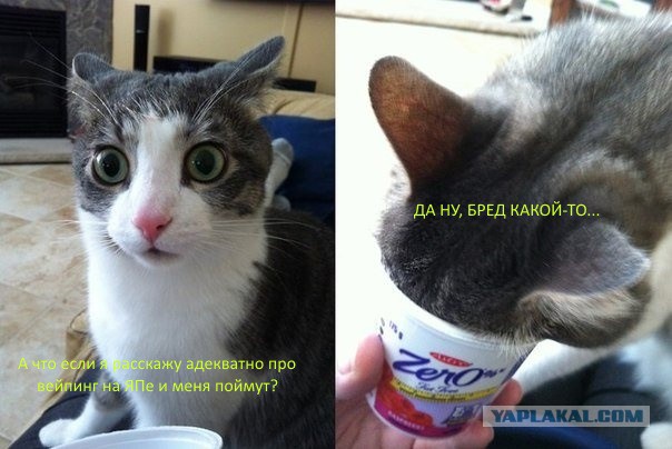 Вейперский клуб - 4