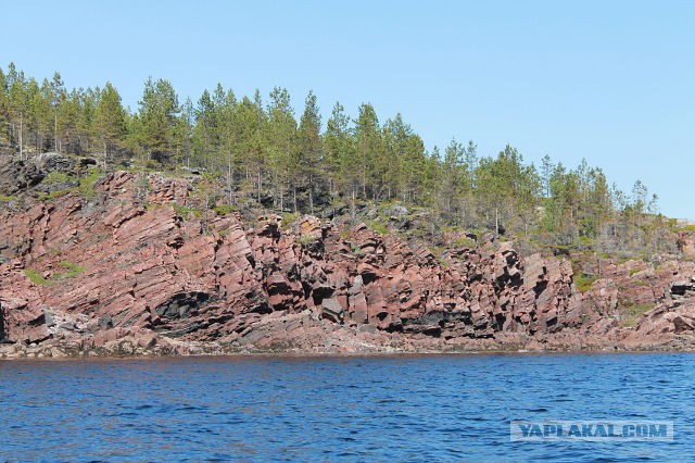 Рыбалка на Белом море
