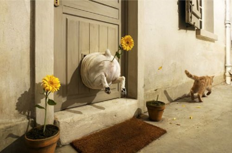 Pyosik I Koshachya Dver Yaplakal