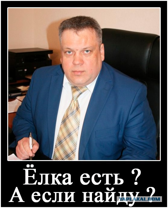 В Тюменском селе чиновники «добыли» новогоднюю елку в палисаднике у старушки