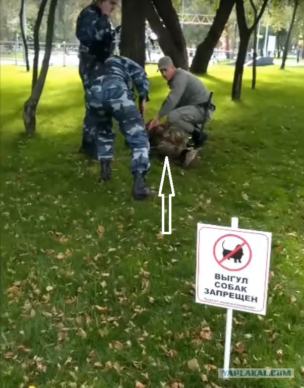 Пьяные в военной форме творят беспредел