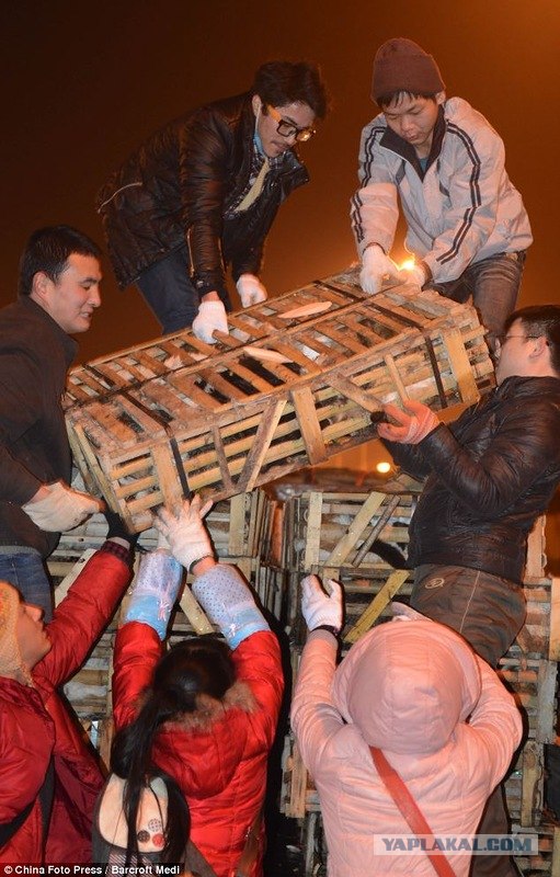 Без чувств...