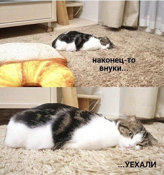 13548099.jpg